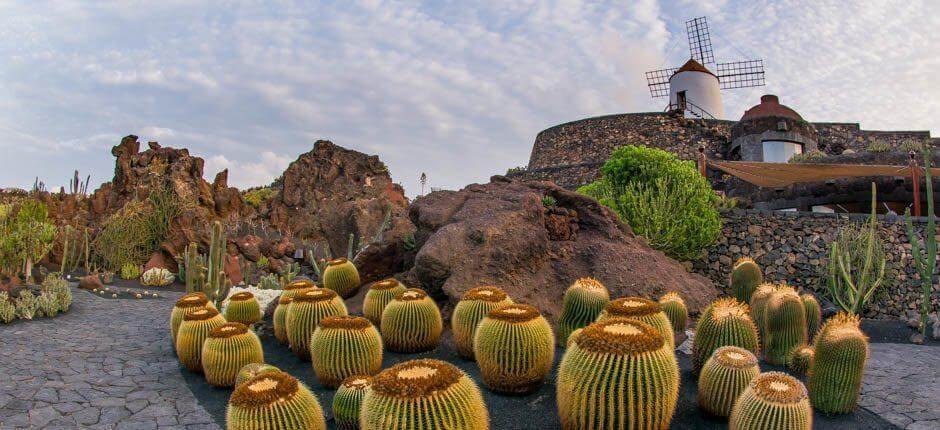 Kaktuspuutarha + Lanzaroten museot ja matkailukeskukset 