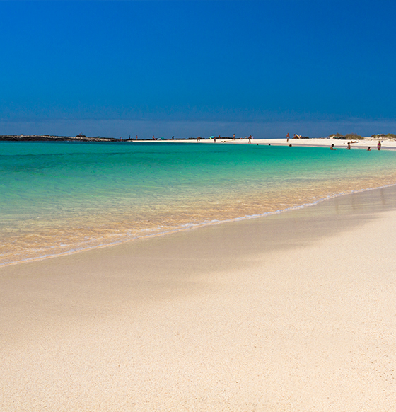 Imagen Listado - Agosto en las IC - El Cotillo