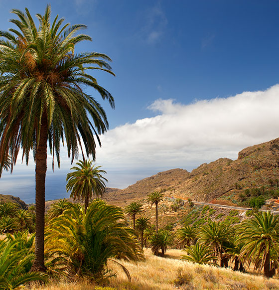 La Gomera