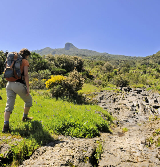 Refugio del Pilar - Mazo