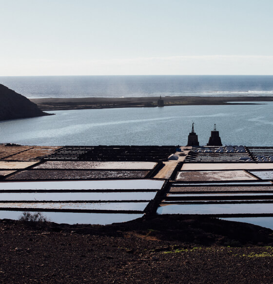 Salinas de Janubio