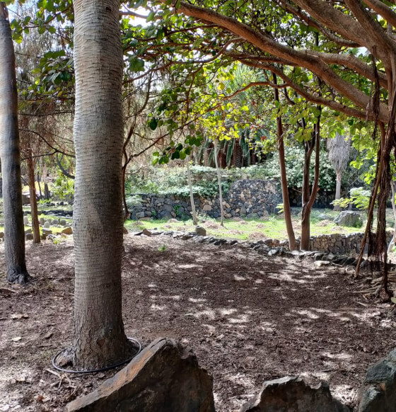 Jardín del Atlántico 