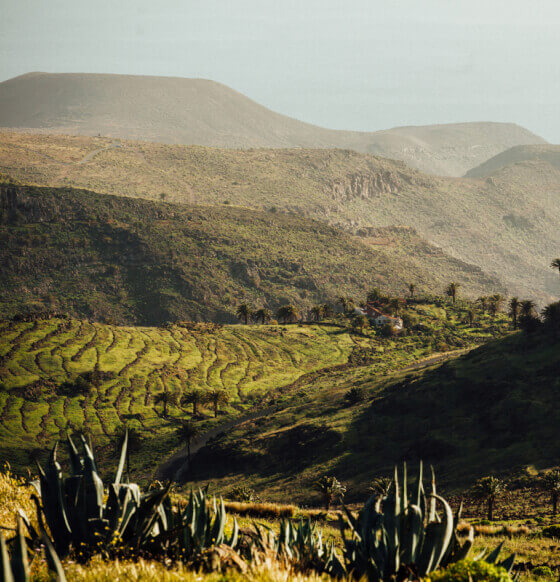 Caserío de Los Almácigos