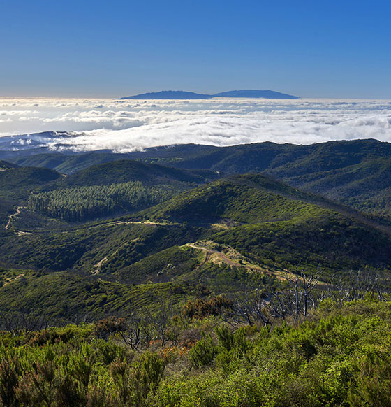 Altos de Garajonay