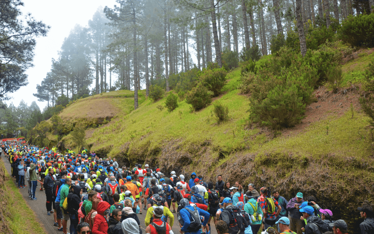 Transvulcania