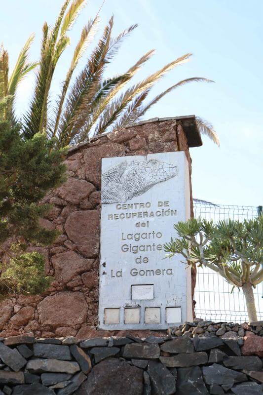 Centro de Recuperación del Lagarto Gigante de El Hierro
