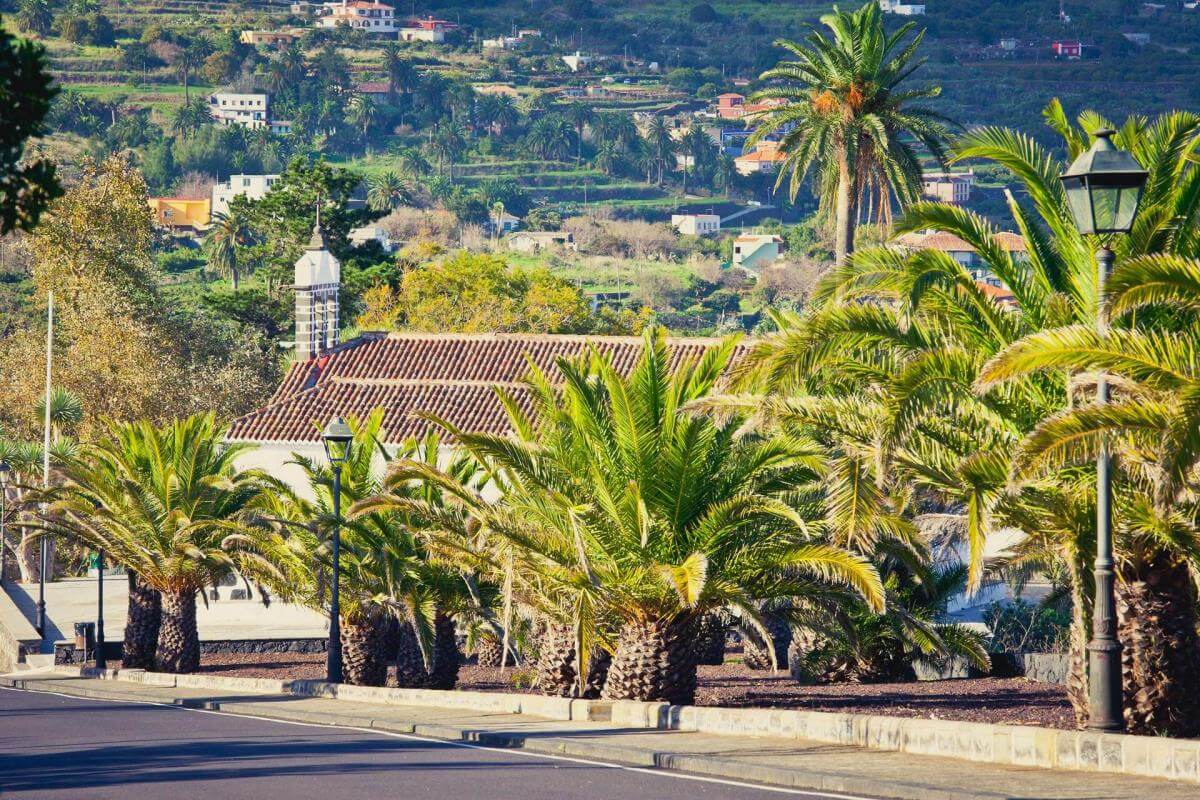 Ruta en coche por el sur de La Palma - galeria3