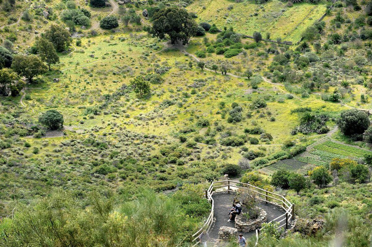 Mirador de Bandama - galeria1