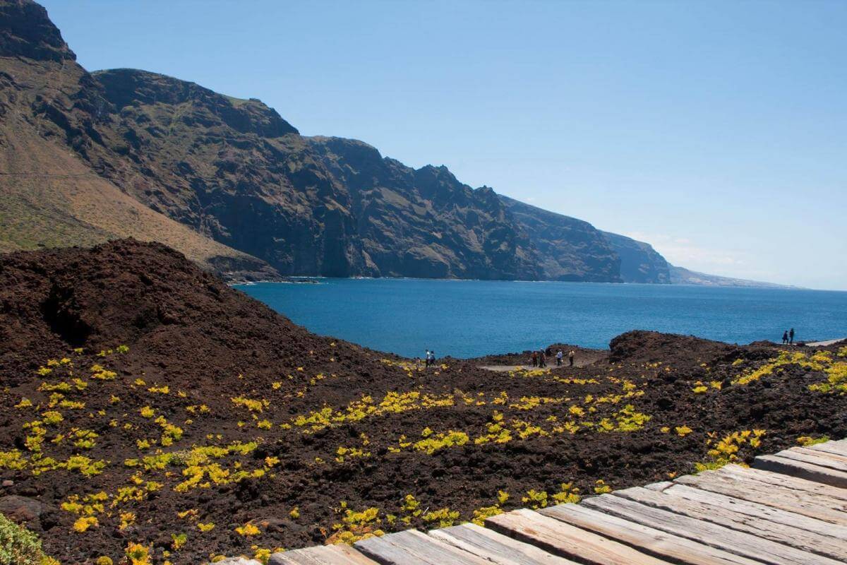 Ruta en coche por el norte de Tenerife - galeria2