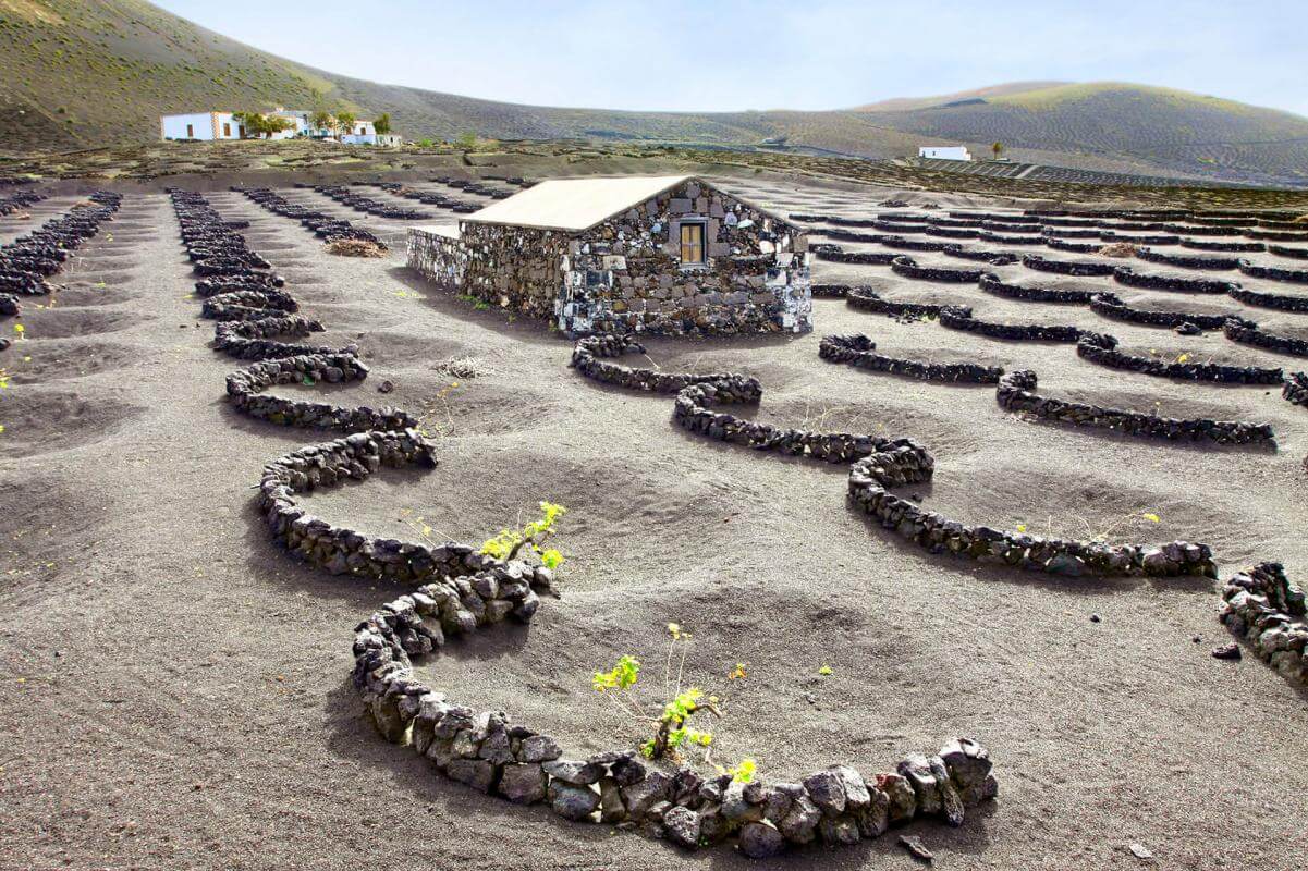 Paisaje Protegido de La Geria, en Lanzarote