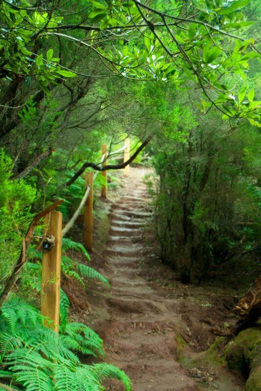 Una excursión a un espacio natural y una experiencia sensorial - galeria4