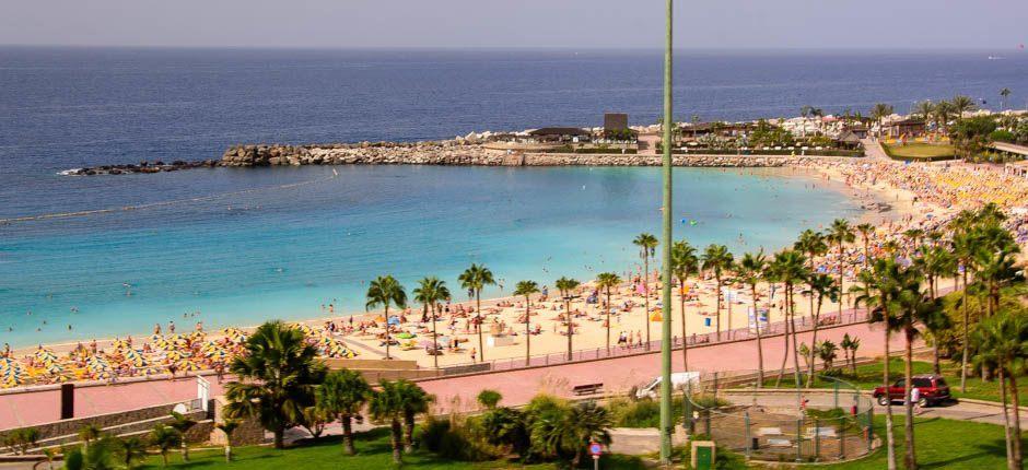 Amadoresin ranta – Gran Canarian suositut rannat