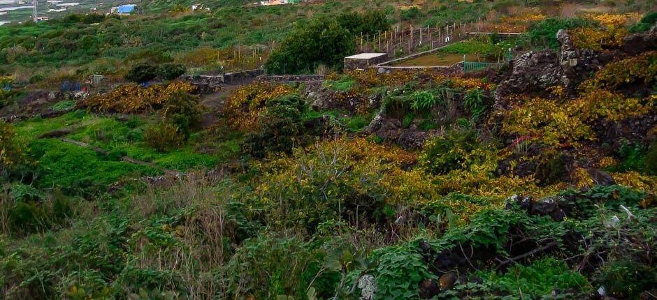 Los Llanillos El Hierron pikkukylät