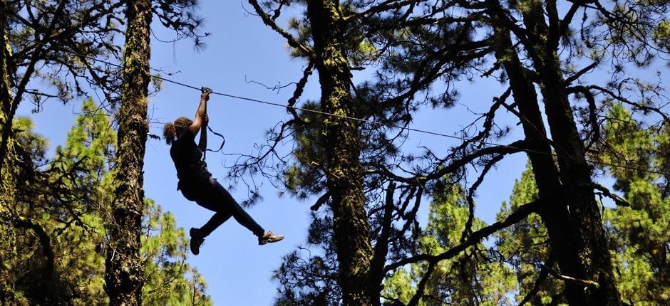 Forestal Park, Teneriffan teemapuistot