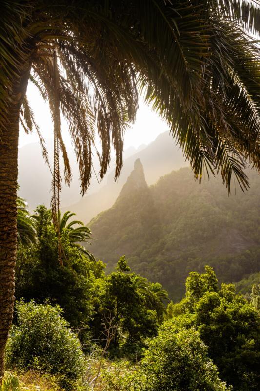 Roque del Rejo (o Roque Blanco)