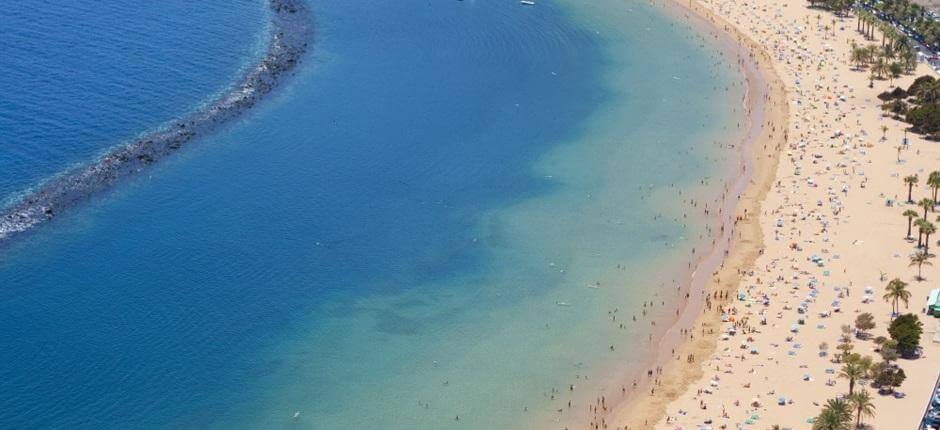 Las Teresitas, Teneriffan perherannat