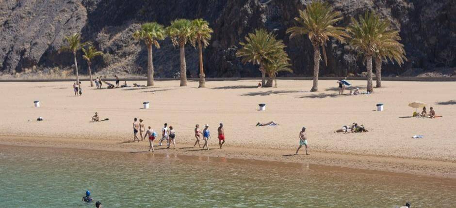 Las Teresitas, Teneriffan perherannat