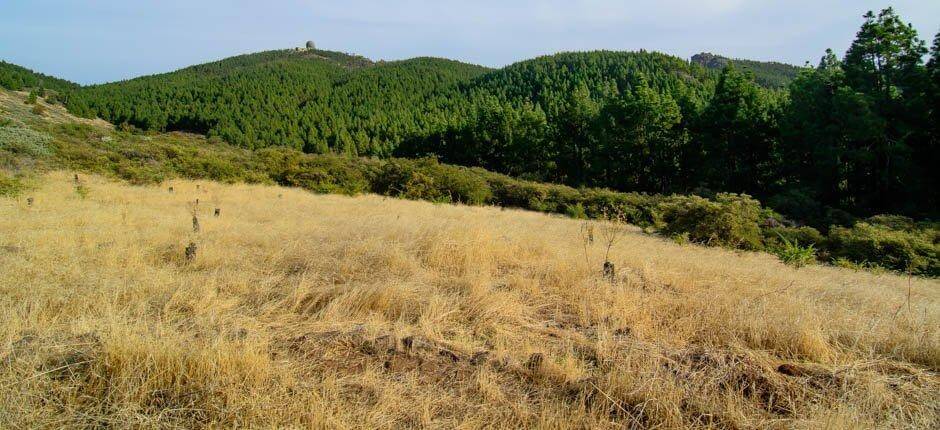 Llanos de Garañón + tähtien havainnointia Gran Canarialla