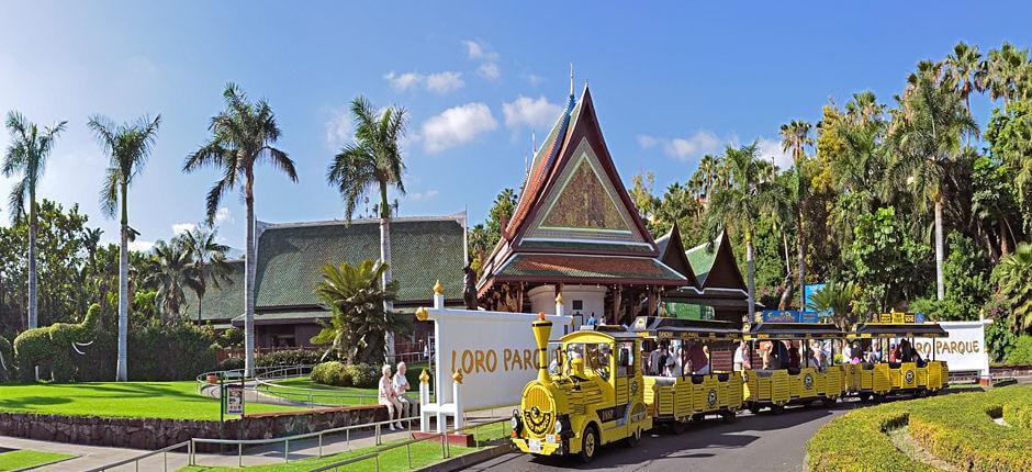 Loro Parque, Teneriffan eläintarhat