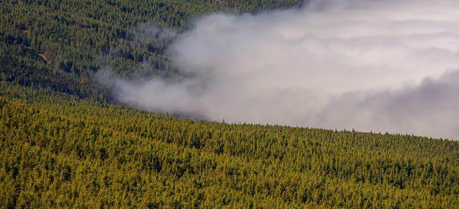 Ortuñon näköalapaikka, Teneriffan näköalapaikat 