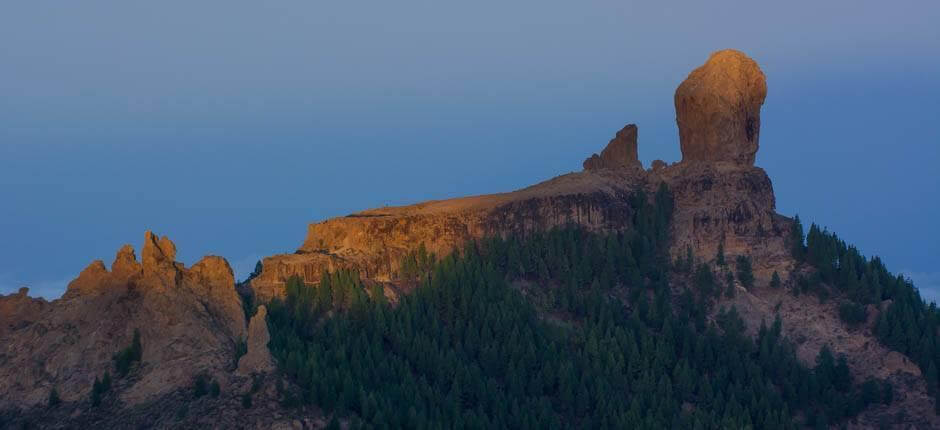 Pico de Las Nievesin näköalapaikka, Gran Canarialla