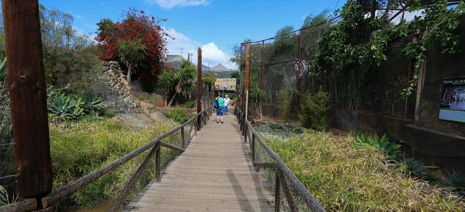 Monkey Park Tenerife, Teneriffan eläintarhat 