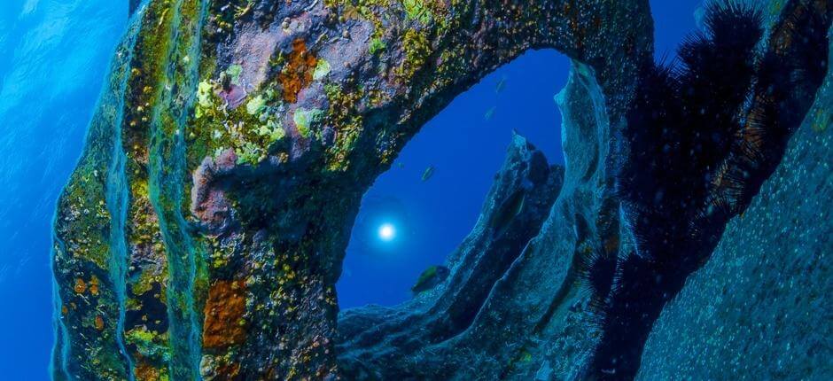 Laitesukellus Teneriffan Montaña Amarillassa