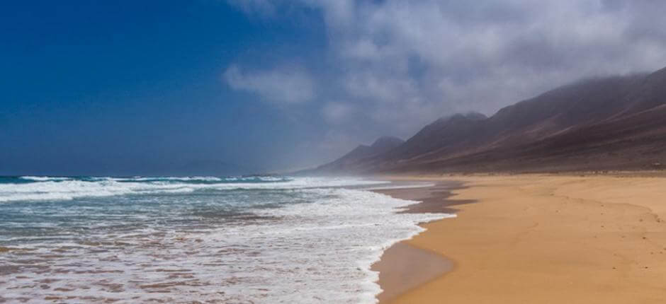 Cofeten ranta + Fuerteventuran luonnonvaraiset rannat
