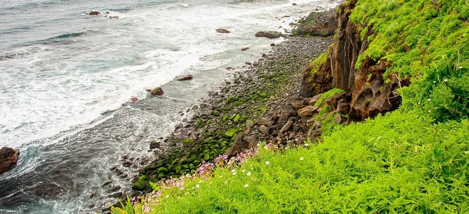 El Anconin ranta + Teneriffan luonnonvaraiset rannat