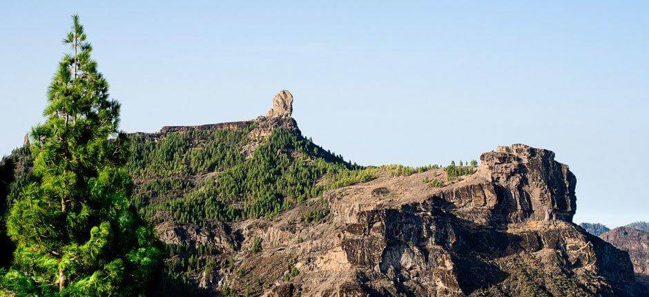 Roque Nublo + Gran Canaria kävelypolut 