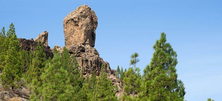 Roque Nublo + Gran Canaria kävelypolut 