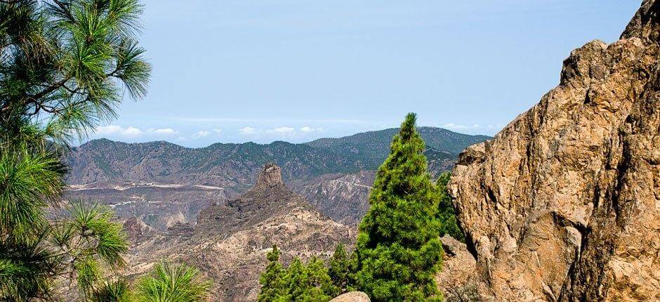 Roque Nublo + Gran Canaria kävelypolut 