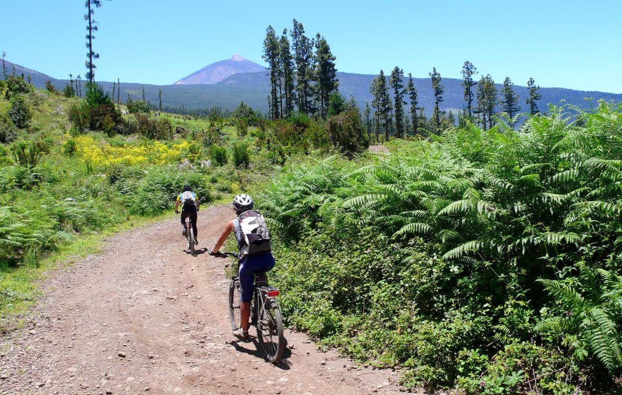 Ruta BTT en la vertiente norte de Tenerife