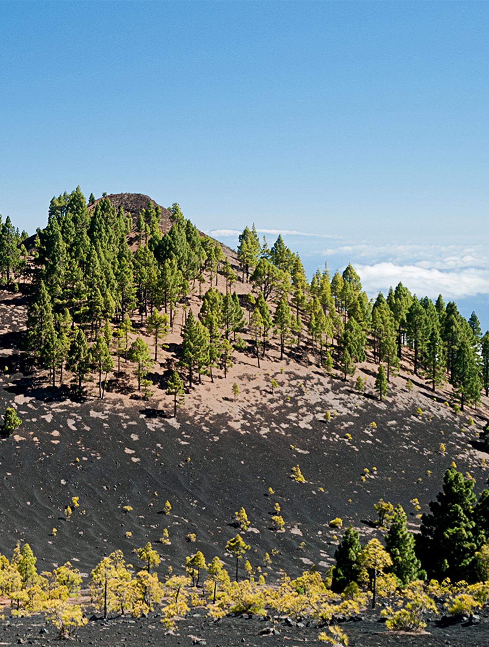 imagen-bloque-La-Palma-volcanes
