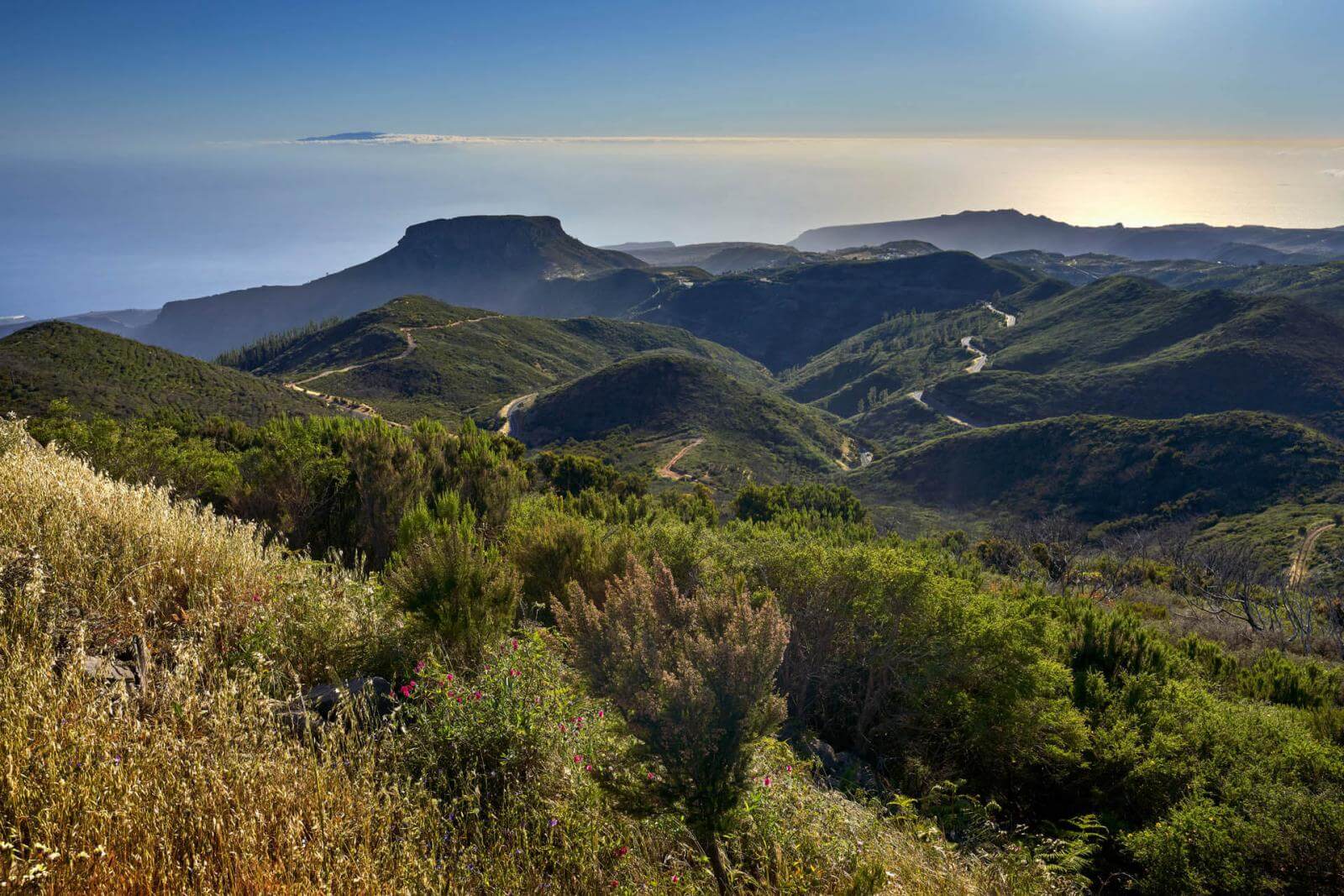 Alto-de-Garajonay-La-Gomera