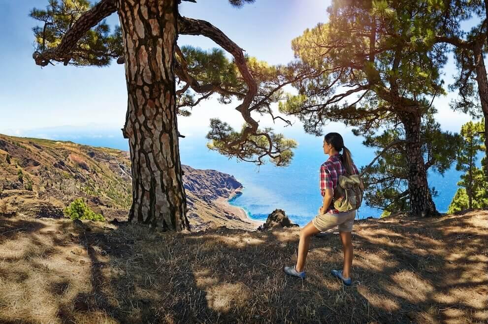 El Pinar. El Hierro.