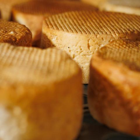 fiesta_del_queso