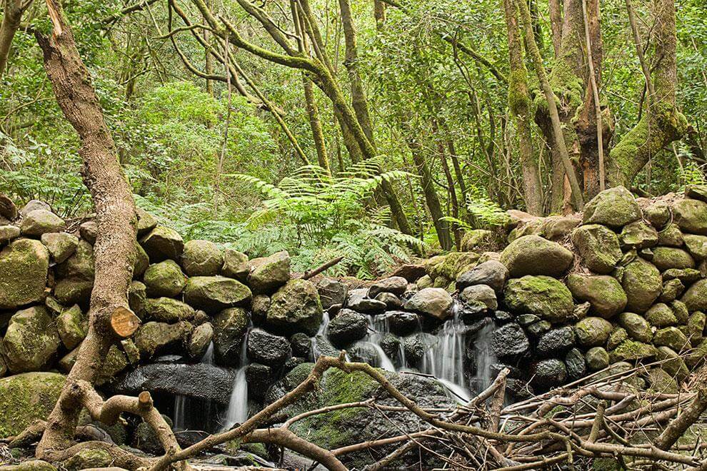 Sendero Contadero - El Cedro