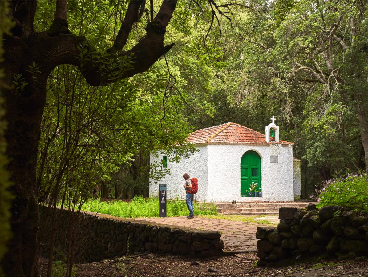 Los-Cedros-La-Gomera