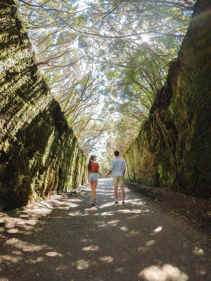 Anaga, una excursión para amantes de la naturaleza - galeria1