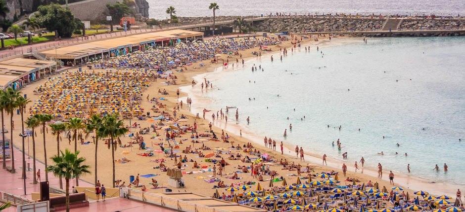 Amadoresin ranta – Gran Canarian suositut rannat
