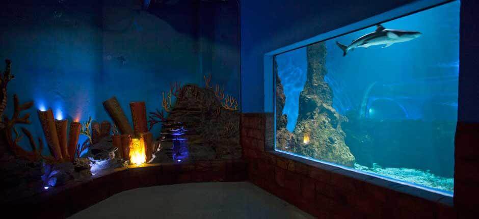 Akvaariot Lanzarotella 
