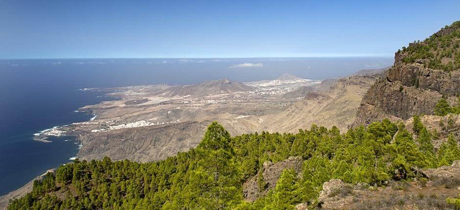 Tamadaba-Bajada de Faneque + Gran Canarian kävelypolut