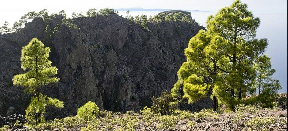 Tamadaba-Bajada de Faneque + Gran Canarian kävelypolut