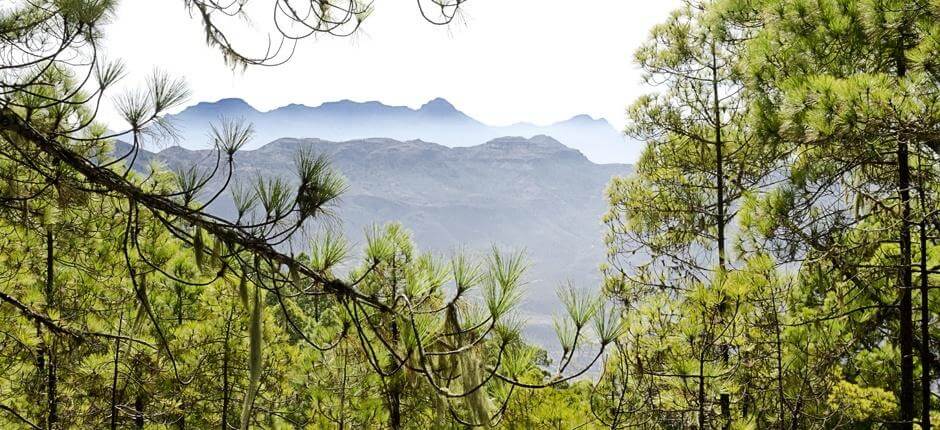 Tamadaba-Bajada de Faneque + Gran Canarian kävelypolut