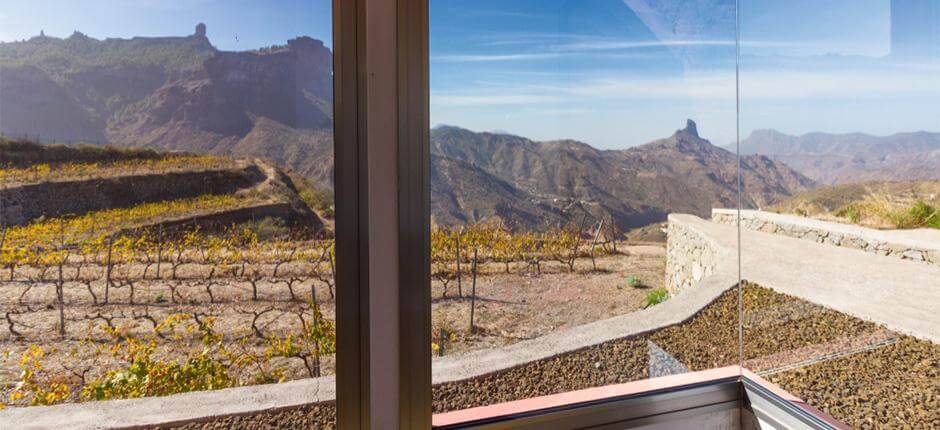 Bodega Bentayga Gran Canarialla