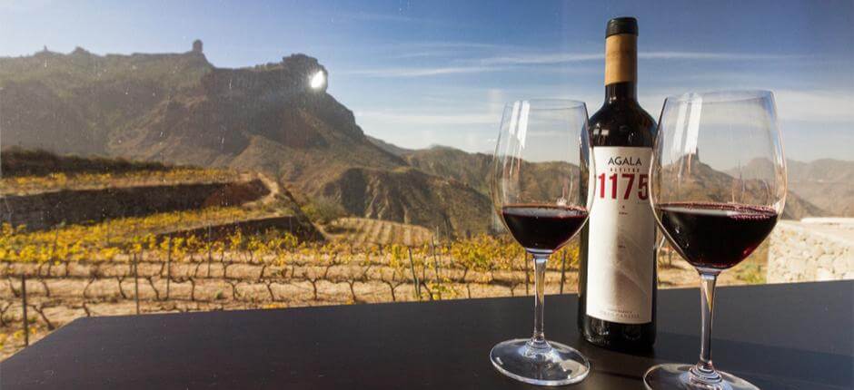 Bodega Bentayga Gran Canarialla