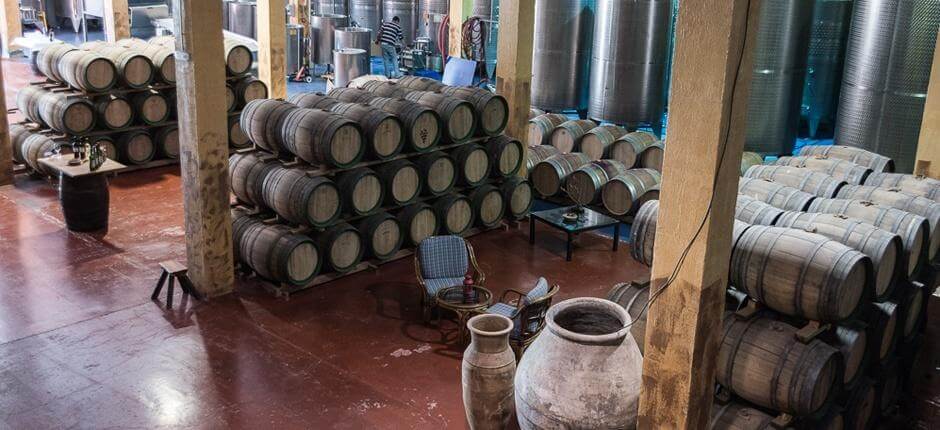 Bodegas Las Tirajanas. Gran Canaria wineriesBodegas Las Tirajanas. Bodegas en Gran Canaria 
