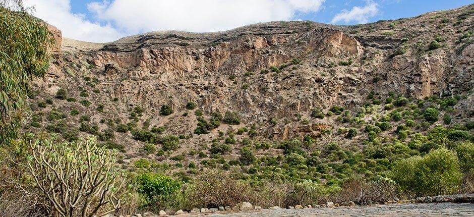 Caldera de Bandama + Gran Canarian kävelypolut 