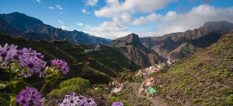 El Carrizal de Tejeda Gran Canarian pikkukylät